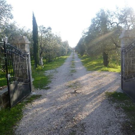 Farm Agriturismo Masseria Chiusurella Villa Corato Exterior photo