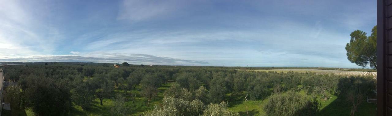 Farm Agriturismo Masseria Chiusurella Villa Corato Exterior photo